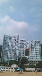 毎月が南の島by社長!